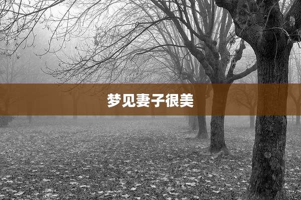 梦见妻子很美