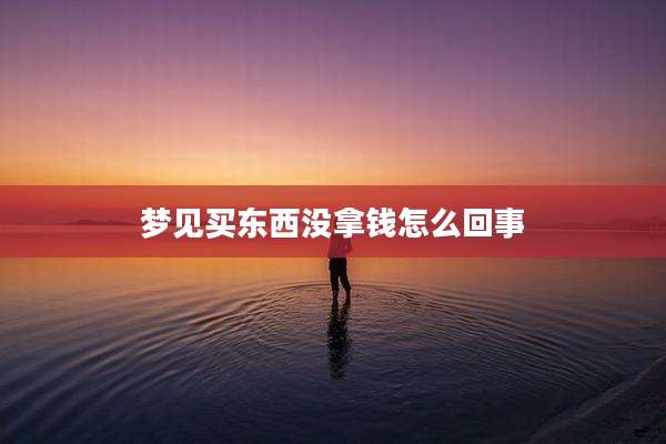 梦见买东西没拿钱怎么回事