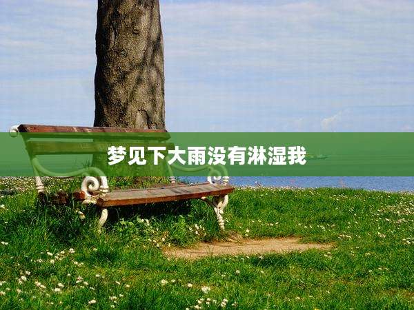 梦见下大雨没有淋湿我