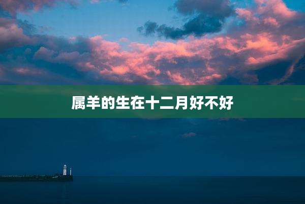 属羊的生在十二月好不好