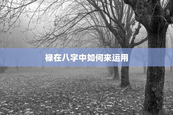 禄在八字中如何来运用
