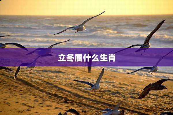立冬属什么生肖