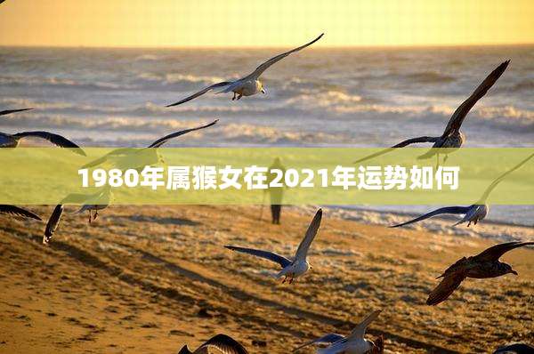 1980年属猴女在2021年运势如何