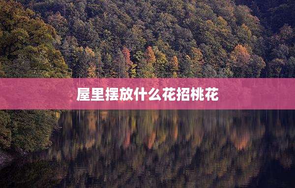 屋里摆放什么花招桃花
