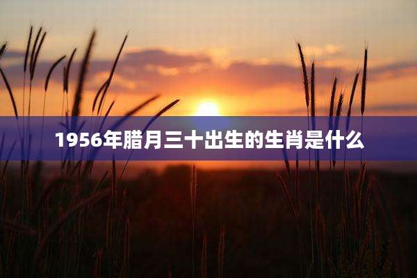 1956年腊月三十出生的生肖是什么