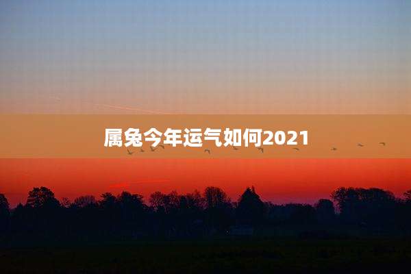 属兔今年运气如何2021