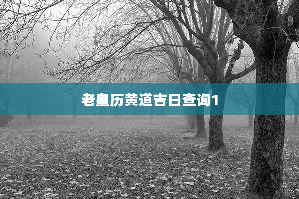 老皇历黄道吉日查询1
