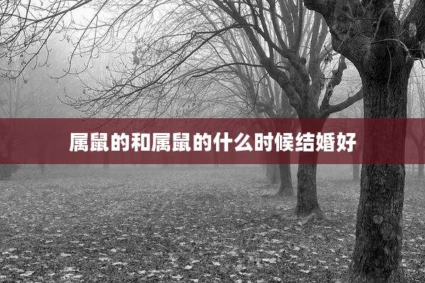 属鼠的和属鼠的什么时候结婚好