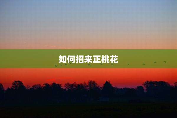 如何招来正桃花