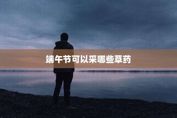 端午节可以采哪些草药