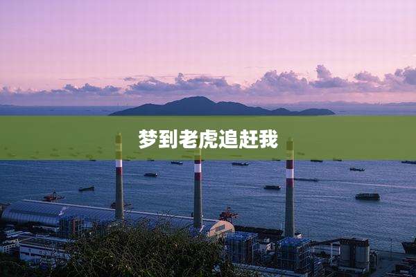 梦到老虎追赶我