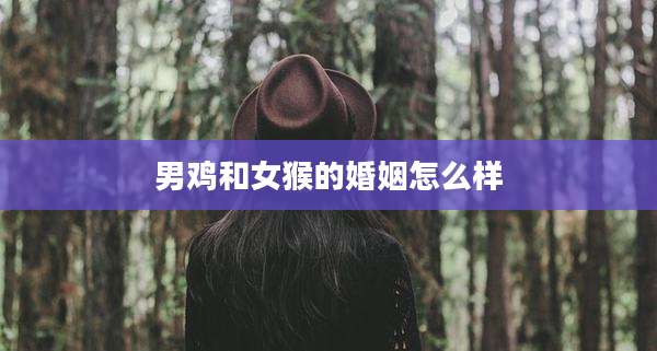 男鸡和女猴的婚姻怎么样