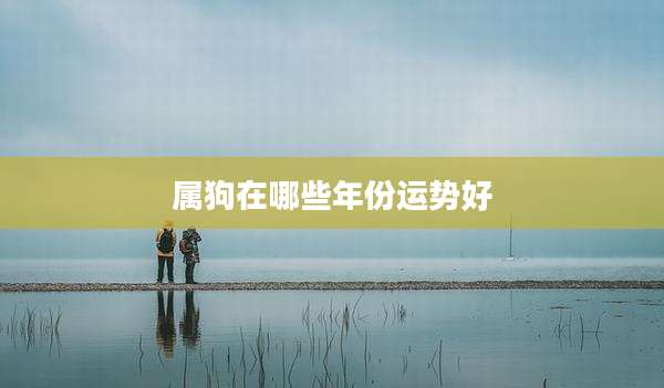 属狗在哪些年份运势好