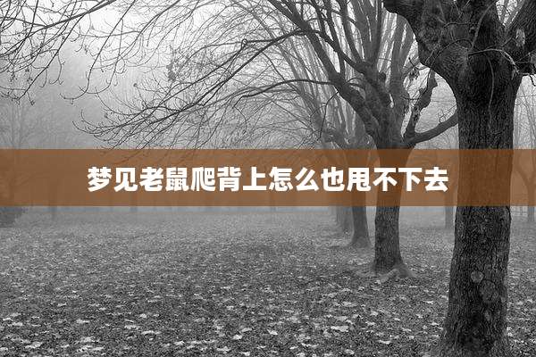 梦见老鼠爬背上怎么也甩不下去