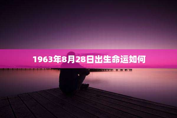 1963年8月28日出生命运如何
