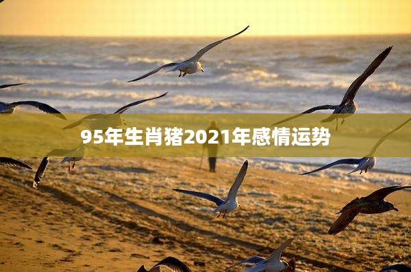 95年生肖猪2021年感情运势