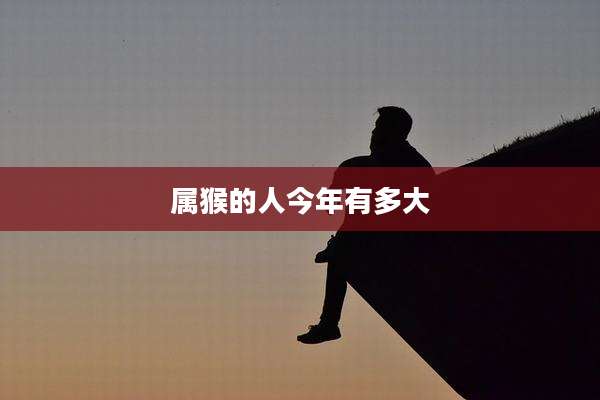 属猴的人今年有多大