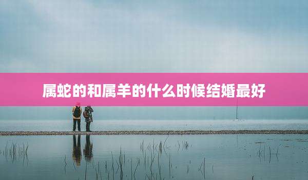 属蛇的和属羊的什么时候结婚最好