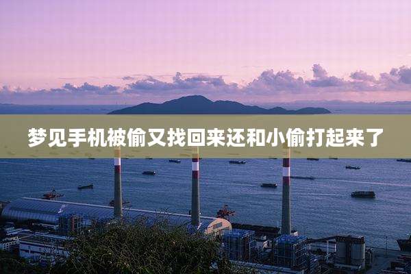 梦见手机被偷又找回来还和小偷打起来了
