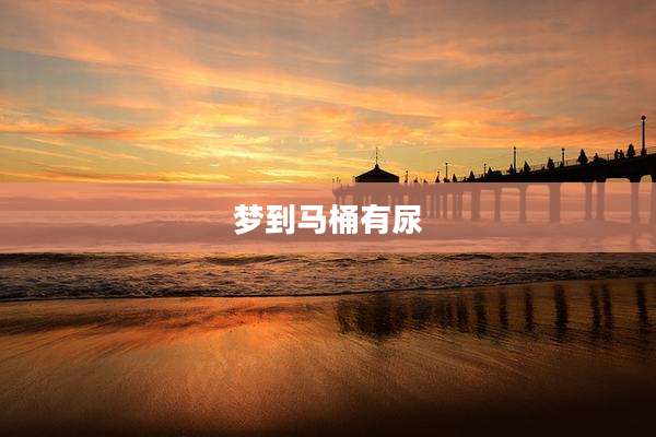 梦到马桶有尿