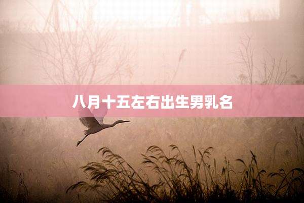 八月十五左右出生男乳名