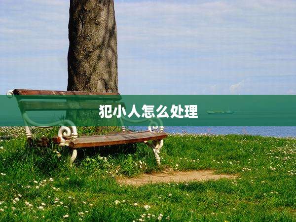 犯小人怎么处理