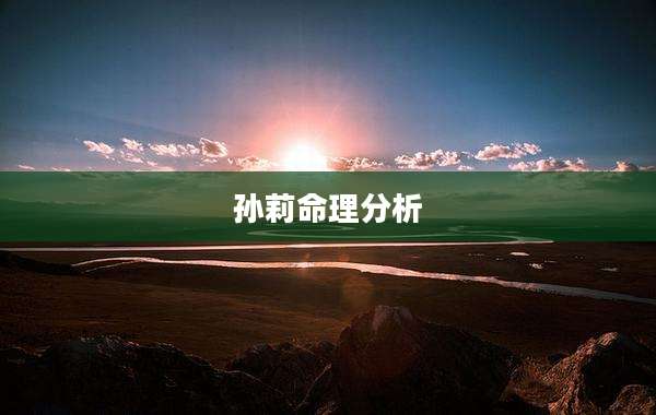 孙莉命理分析