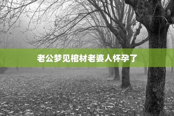 老公梦见棺材老婆人怀孕了