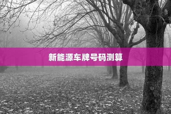 新能源车牌号码测算