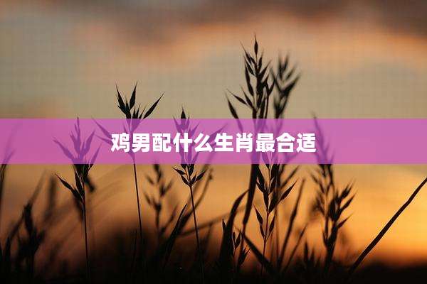 鸡男配什么生肖最合适