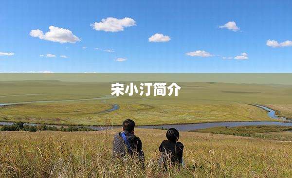 宋小汀简介