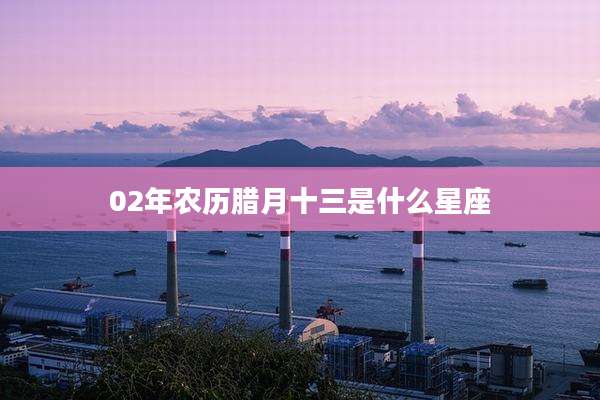 02年农历腊月十三是什么星座