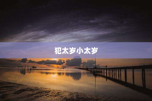 犯太岁小太岁