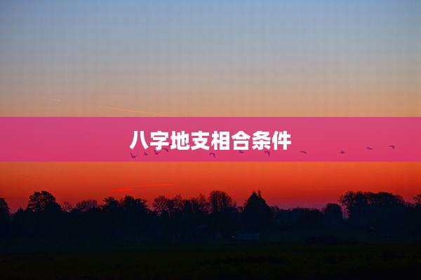 八字地支相合条件