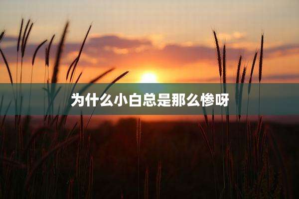 为什么小白总是那么惨呀