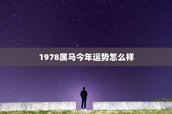 1978属马今年运势怎么样