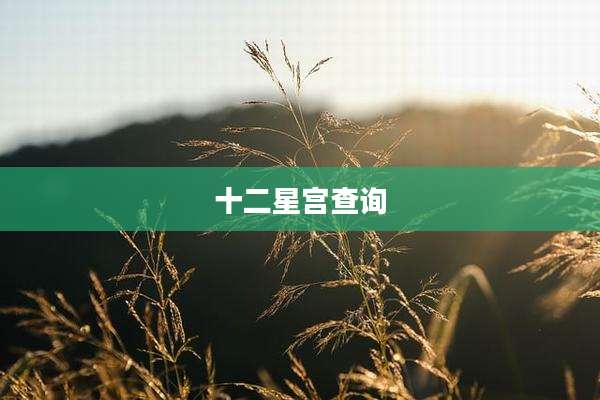 十二星宫查询