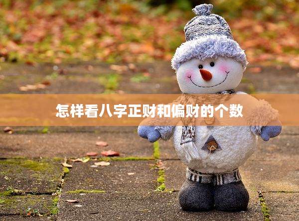 怎样看八字正财和偏财的个数
