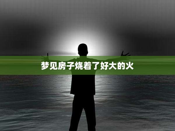 梦见房子烧着了好大的火