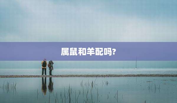 属鼠和羊配吗?