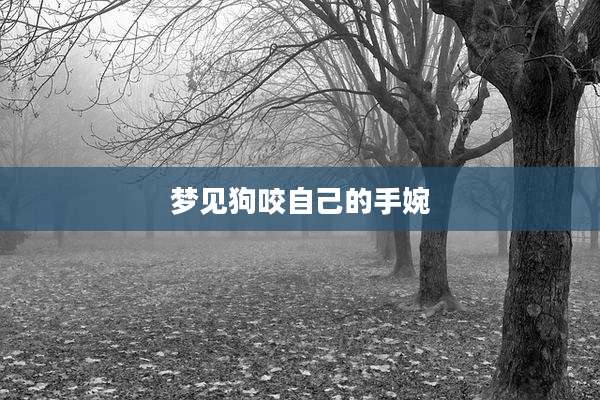 梦见狗咬自己的手婉