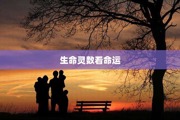 生命灵数看命运