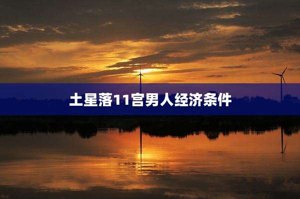 土星落11宫男人经济条件