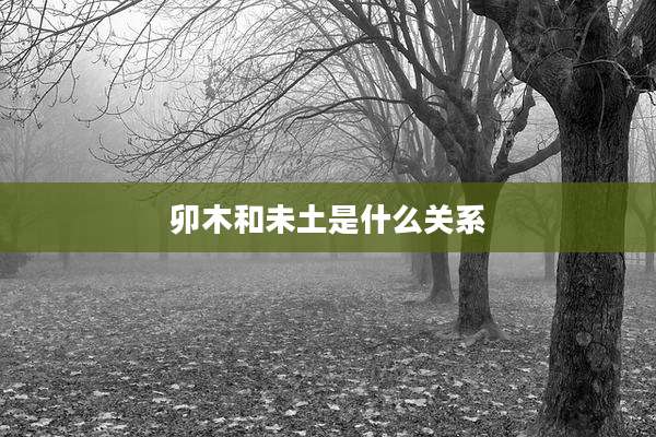 卯木和未土是什么关系