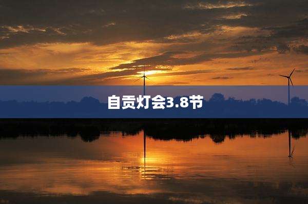 自贡灯会3.8节
