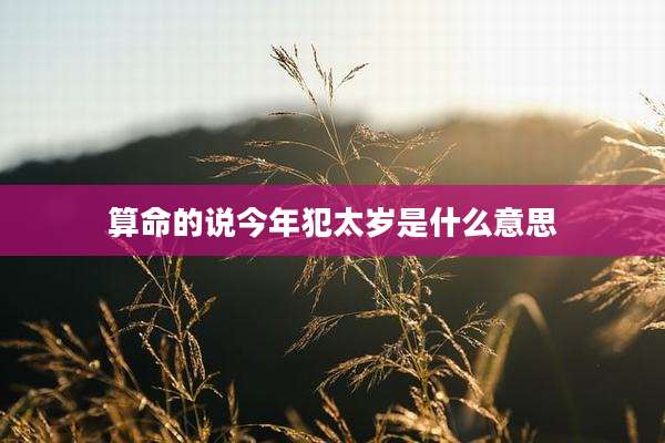算命的说今年犯太岁是什么意思