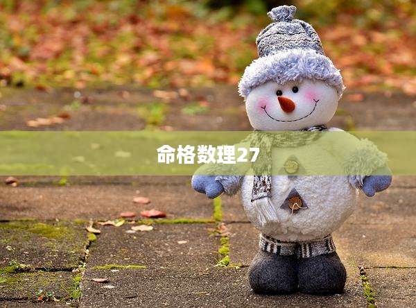命格数理27