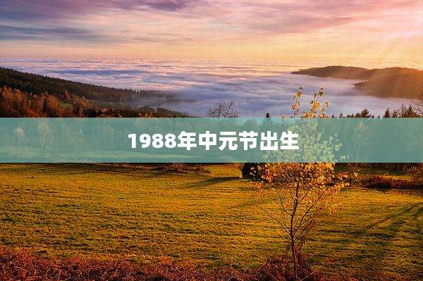 1988年中元节出生