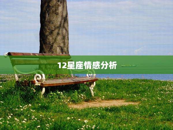 12星座情感分析