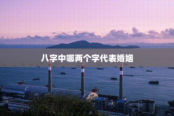 八字中哪两个字代表婚姻